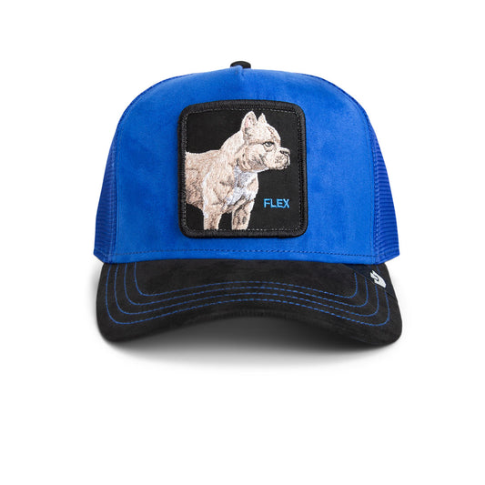 Goorin Cap Suede Pitbull