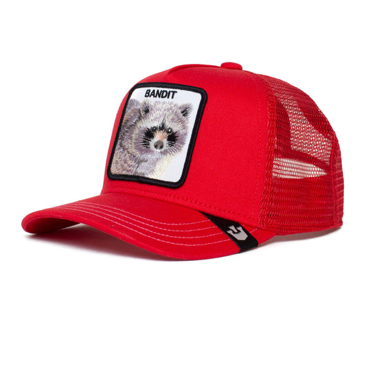 Goorin children's cap Sticky Bandit Kids