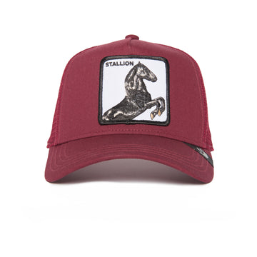 Goorin Pet De Hengst