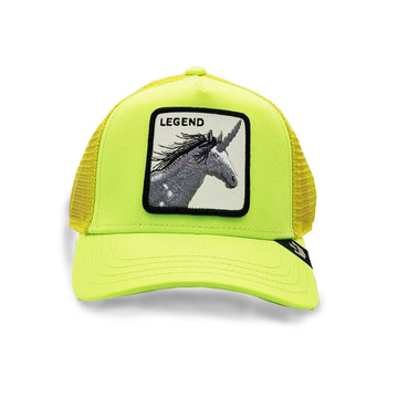 Goorin Kids Little Legend