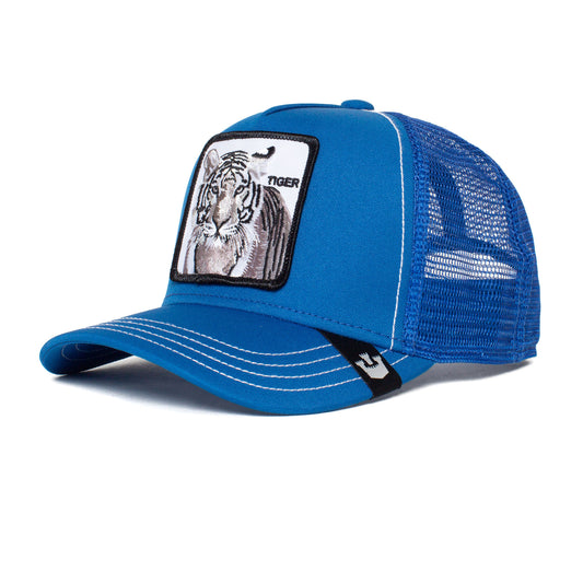 Goorin kids' cap Stripe Earner Kids