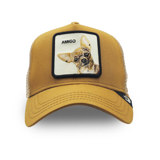 Goorin Cap Amigo – Little Chihuahua
